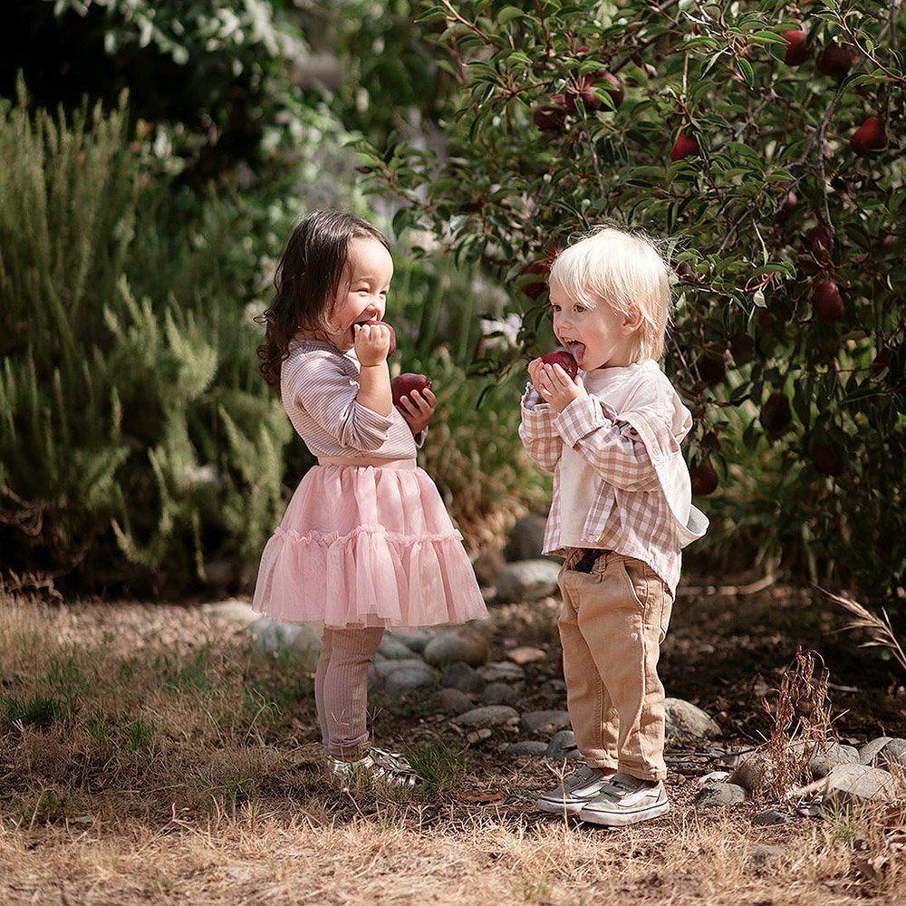 granite bay sacramento placer county nature preschool granite bay sacramento placer county nature preschool