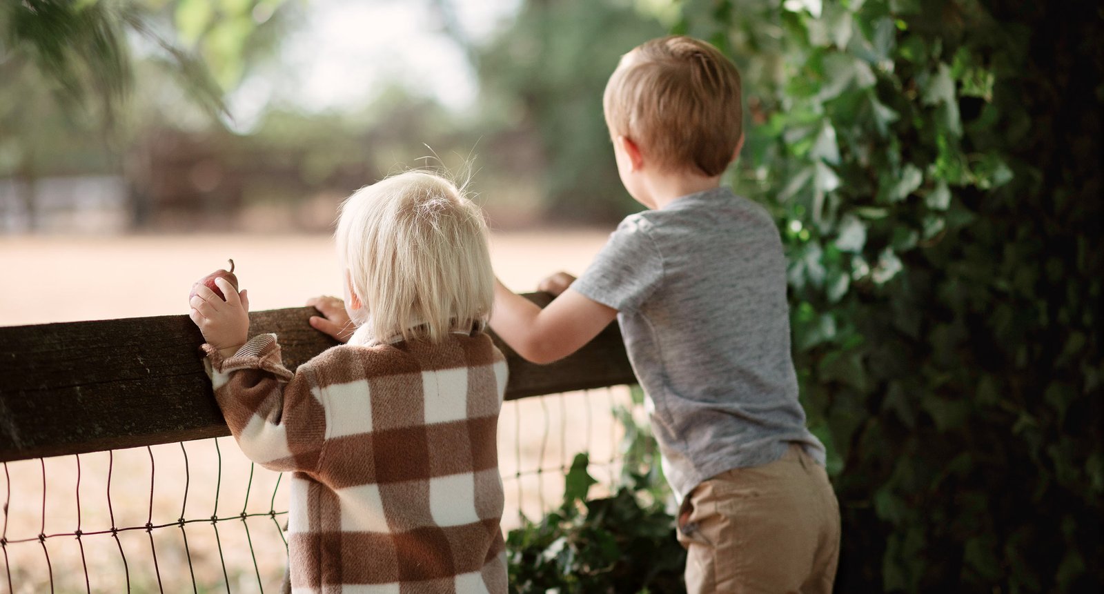 granite bay nature inspired preschool